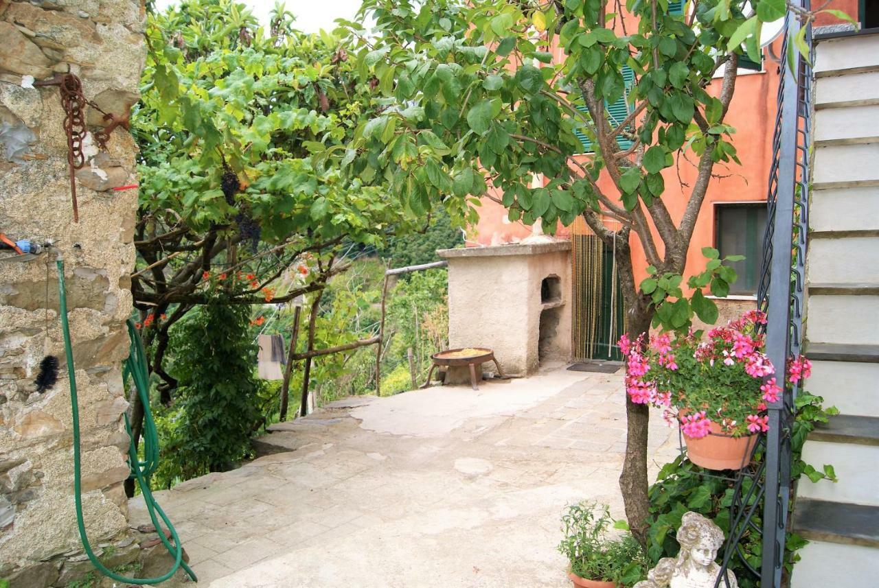 Chez Il Pino Vernazza Vista Mare Exteriér fotografie